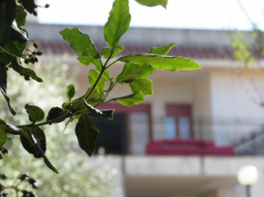 Villa Il Giovane Alloro Martina Franca